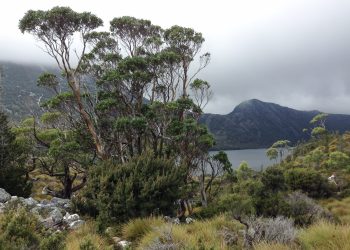Tasmania : Mountains And Lakes