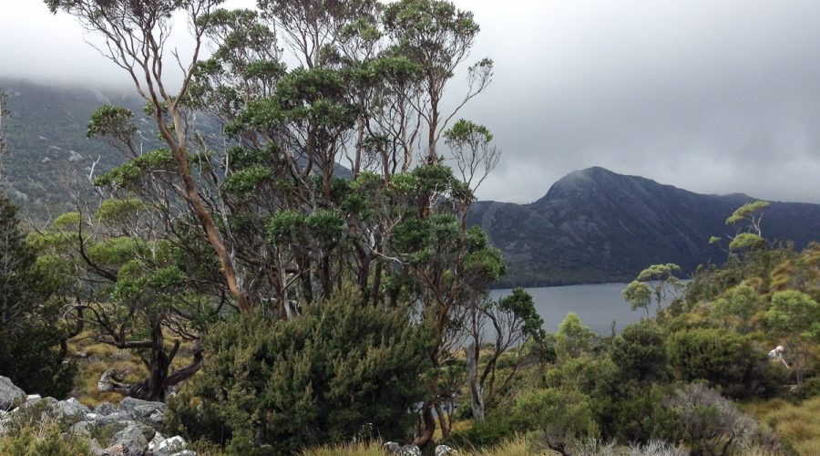 Tasmania : Mountains And Lakes