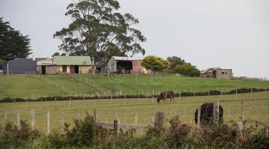 Tasmanian Farms