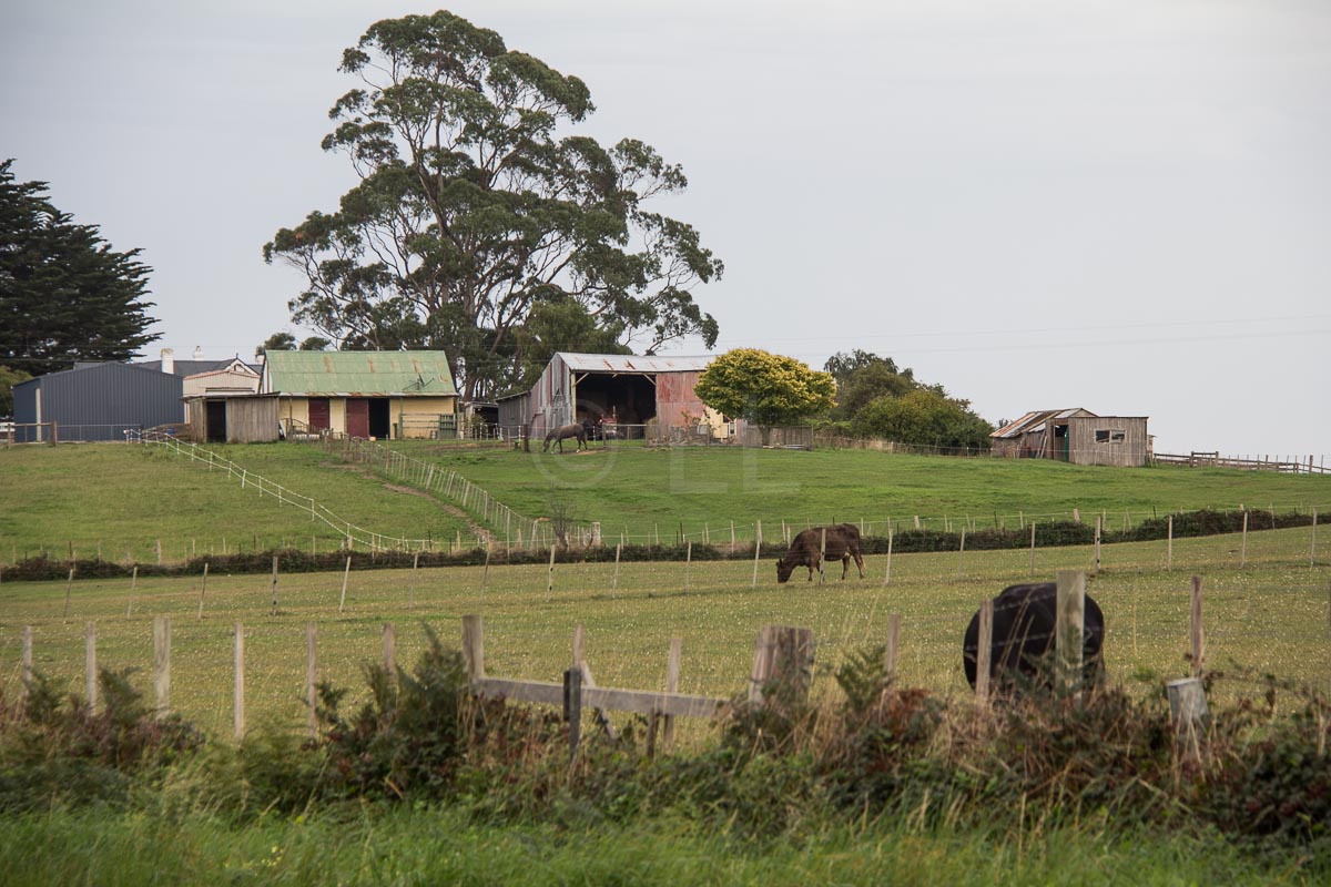 Tasmanian farms