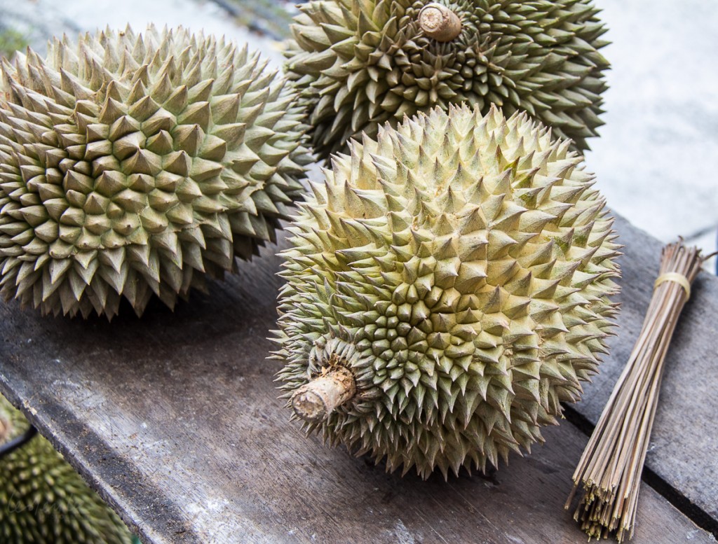 Durian, Durian Tourism