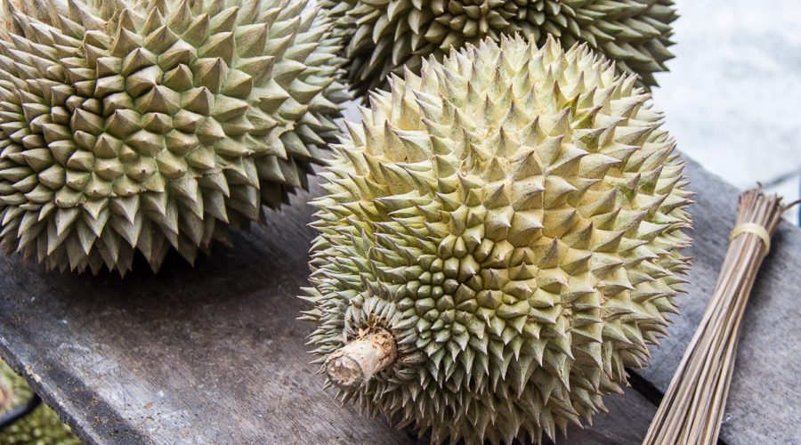 Durian, Durian Tourism