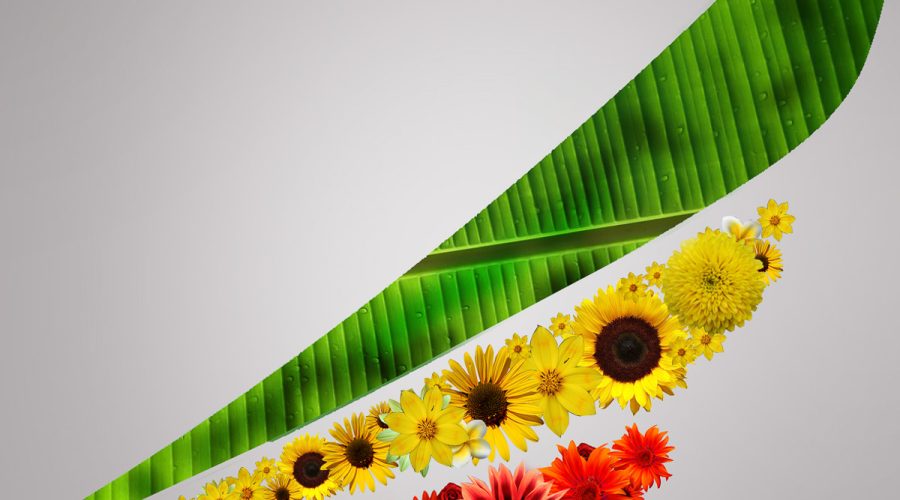 Ethiopian Airlines