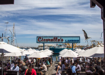 Foodie Heaven, Fremantle,MATTA Fair 2017,Freo For Foodies