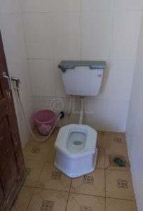 clean toilet