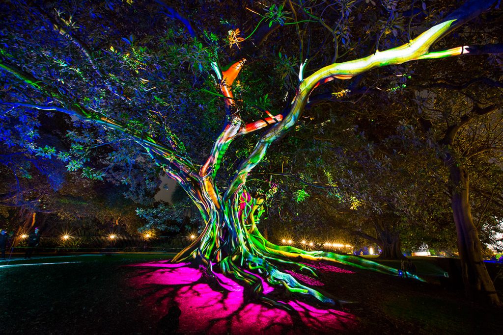 Vivid Sydney 2016 - Synthesis at the Royal Botanic Garden by Destination NSW