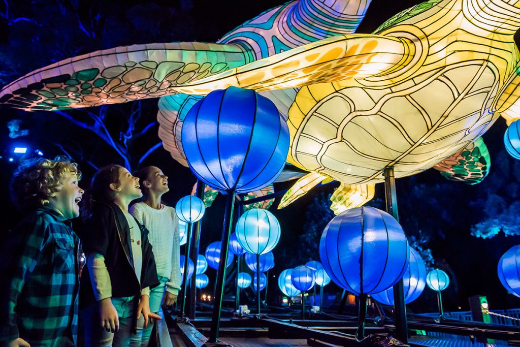 Vivid Sydney 2017 Taronga Zoo Marine Turtles by Destination NSW