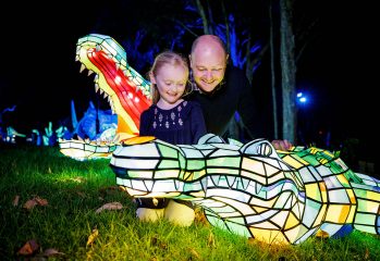 Vivid Sydney 2017 - Taronga Zoo Saltwater Crocodile by Destination NSW/James Horan