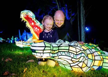 Vivid Sydney 2017 - Taronga Zoo Saltwater Crocodile By Destination NSW/James Horan
