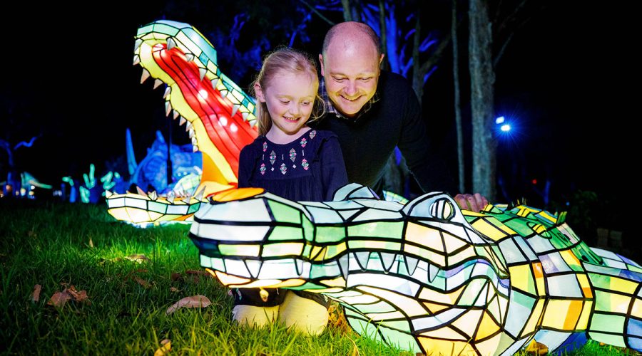 Vivid Sydney 2017 - Taronga Zoo Saltwater Crocodile By Destination NSW/James Horan