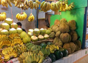 Durian, Thailand Welcomes Visitors