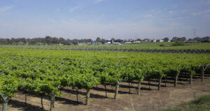 Easy Day Trips: Perth