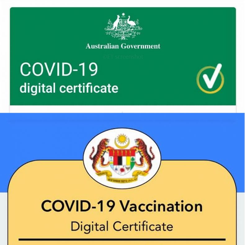 COVID-19 travel declaration
