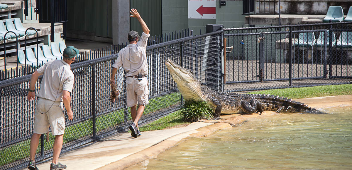 Australia reopens