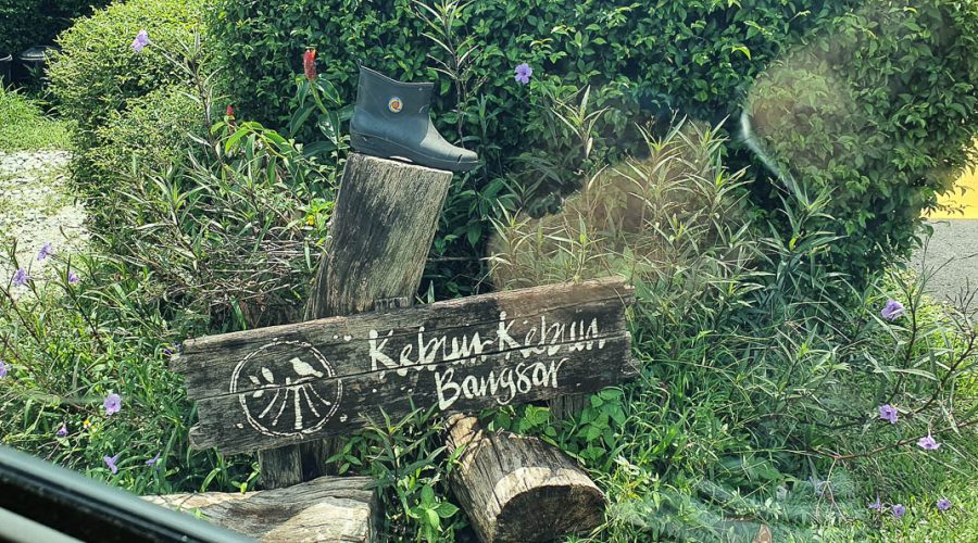 Kebun Kebun Bangsar