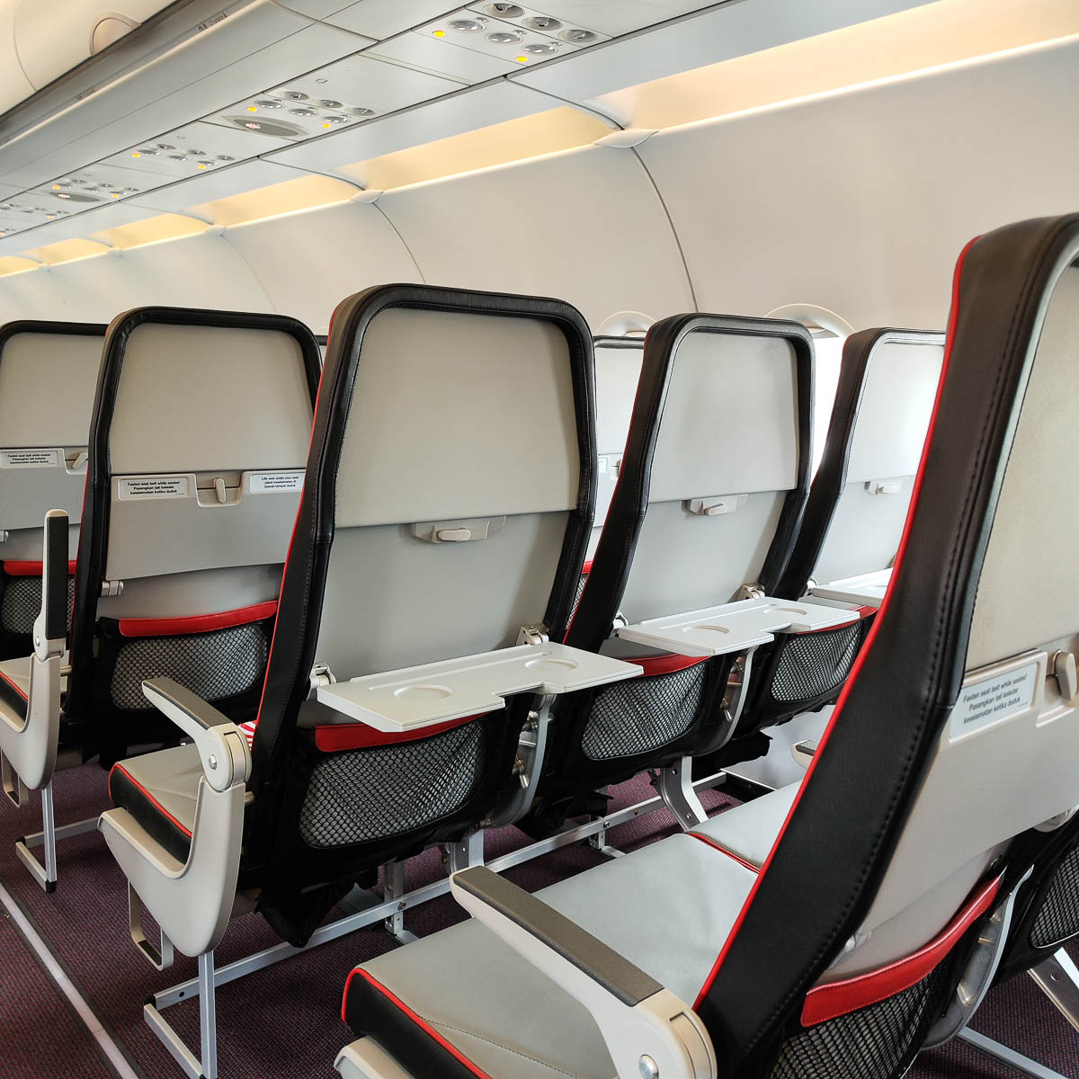 ergonomic aircraft seats