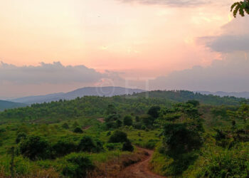 Eco-Tourism,Subang To Sabah