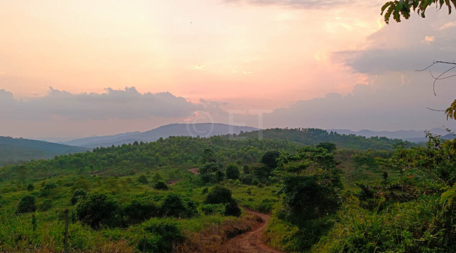 Eco-Tourism,Subang To Sabah