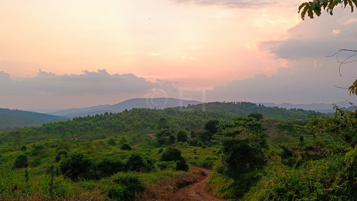 Eco-Tourism,Subang to Sabah