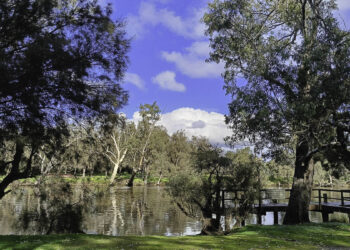 Swan Valley