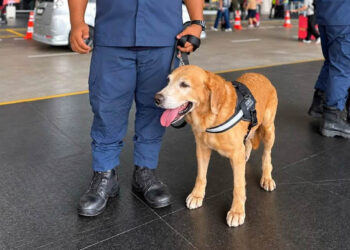 K9 Units